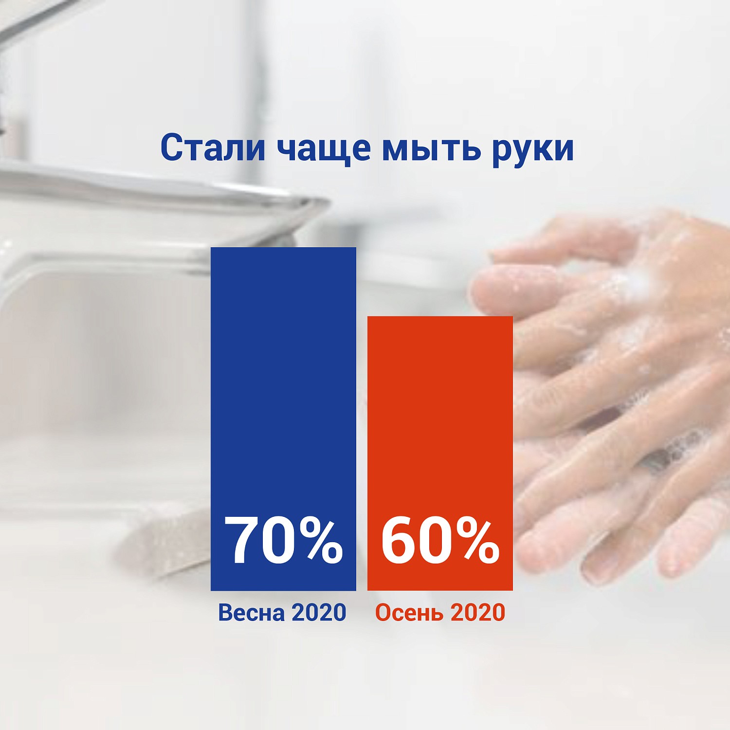 Исследование PROtissue